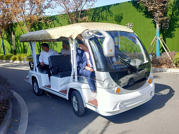 How to choose an electric sightseeing car?