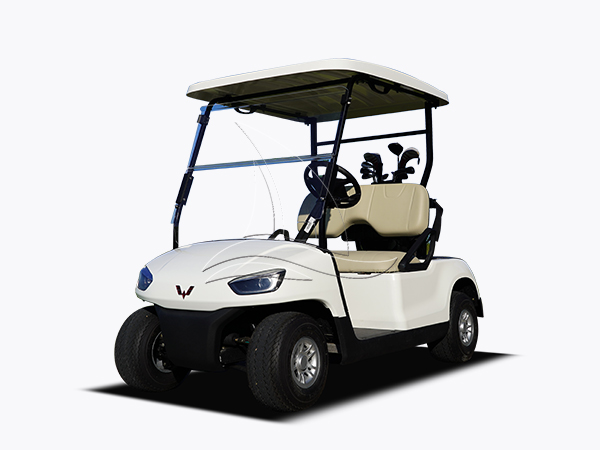 T200 2 Seats White Golf Cart
