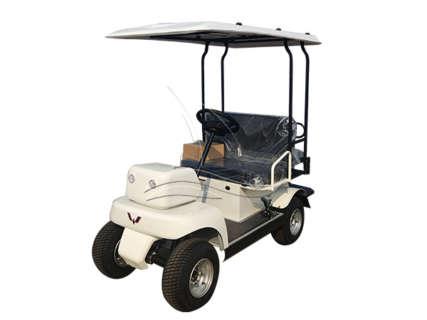 Two-Seat White Shared Sightseeing Cart